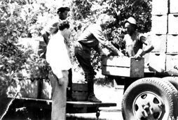 Packing Oranges, 2